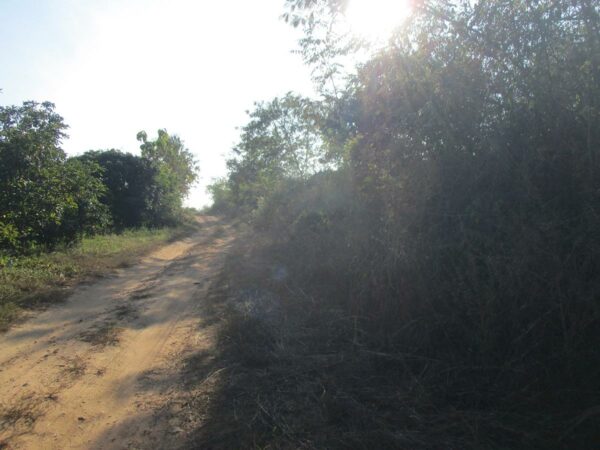 Blank land, Chiang Mai _photo