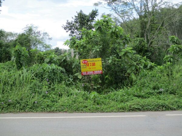 Vacant land, Nakhon Si Thammarat _photo