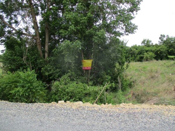 Vacant land, Nakhon Sawan _photo