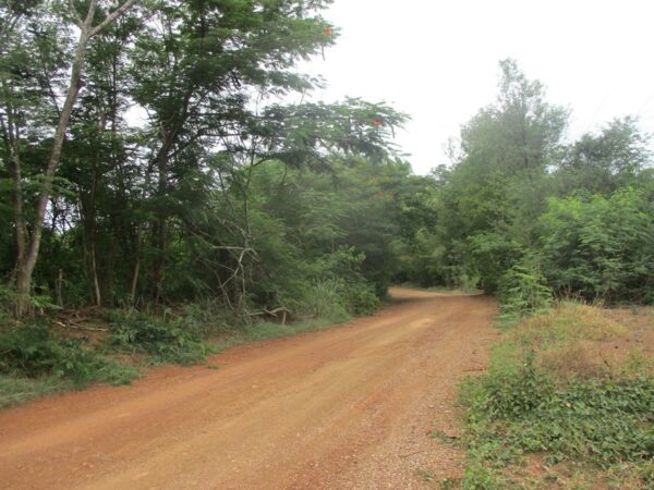 Non -empty land, Phetchabun _photo