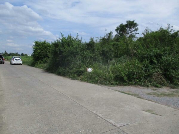 Vacant land, Nakhon Sawan _photo