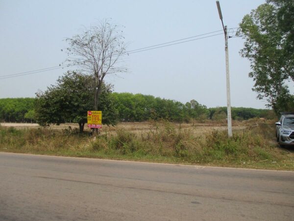 Non -empty land, Sakon Nakhon _photo