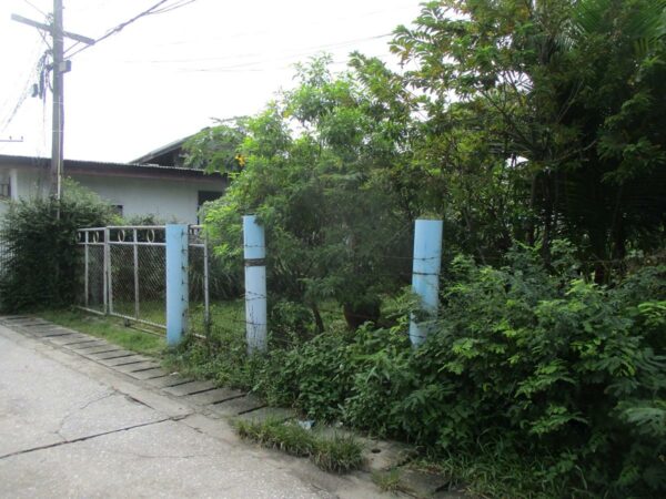 Single house, Songkhla _photo