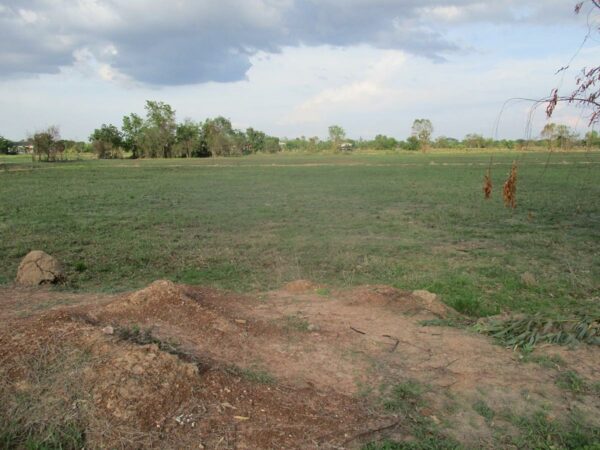 Empty land, Sukhothai _photo