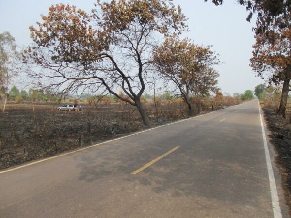 Blank land, Nong Khai _photo