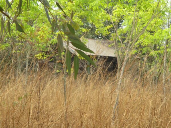 Blank land, Nong Khai _photo