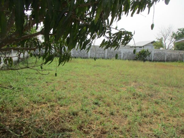 Detached house, Nong Khai _photo