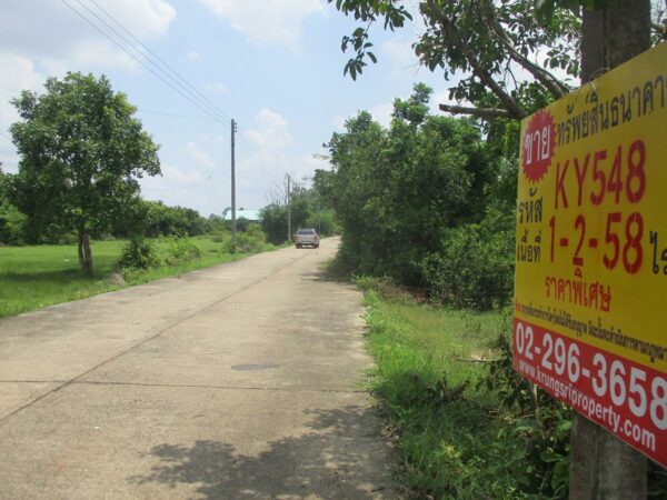 Empty land, Roi Et _photo