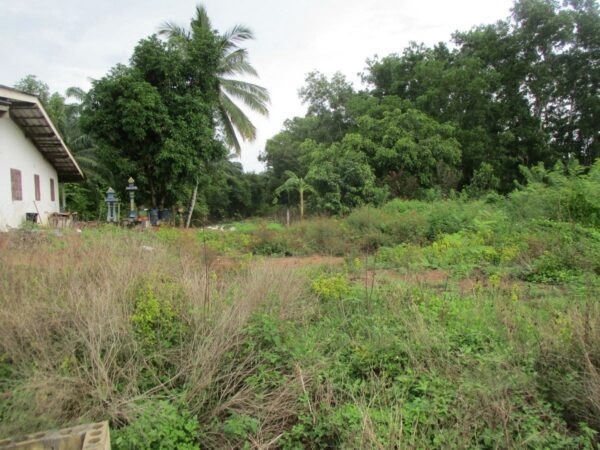 Empty Land, Surat Thani _photo