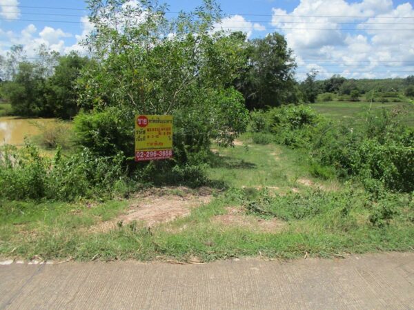 Vacant land, Ubon Ratchathani _photo