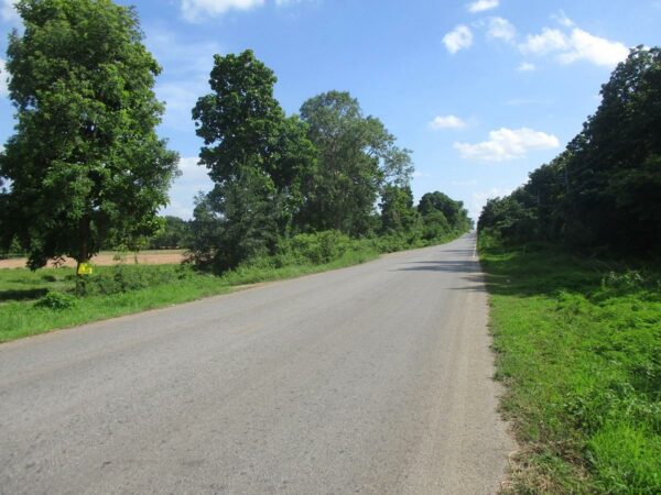 Kalasin land, Kalasin _photo