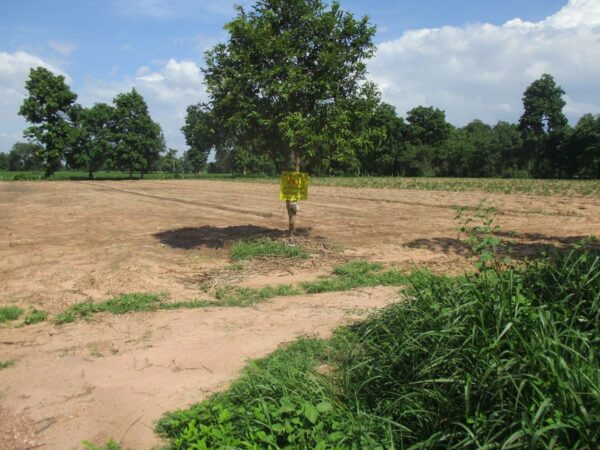 Warehouse, Kalasin _photo