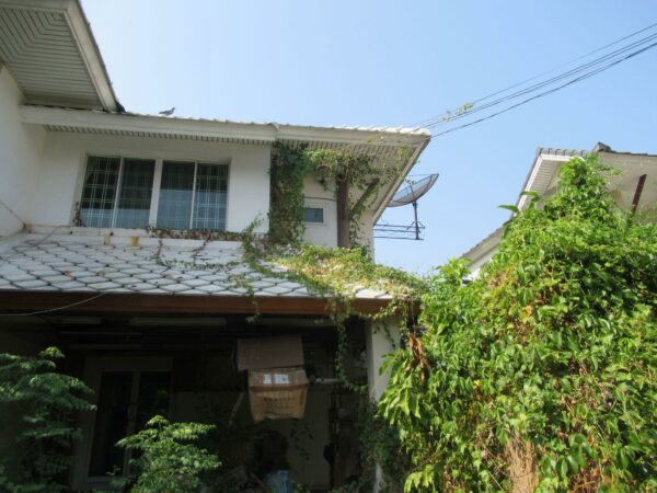 Single house _photo