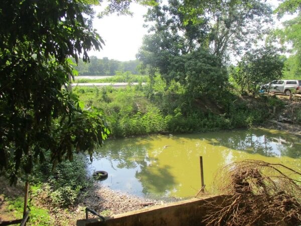 Single house, Chiang Rai _photo