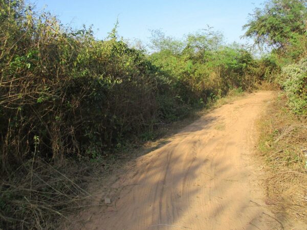 Blank land, Chiang Mai _photo