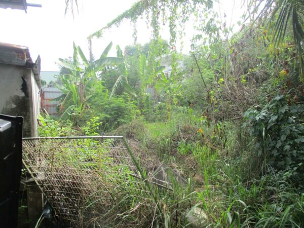 Vacant land, Nakhon Ratchasima _photo