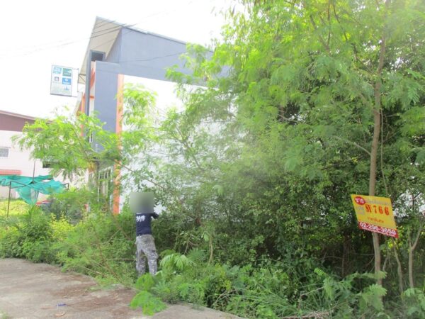 Vacant land, Nakhon Si Thammarat _photo