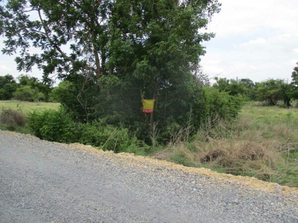 Vacant land, Nakhon Sawan _photo