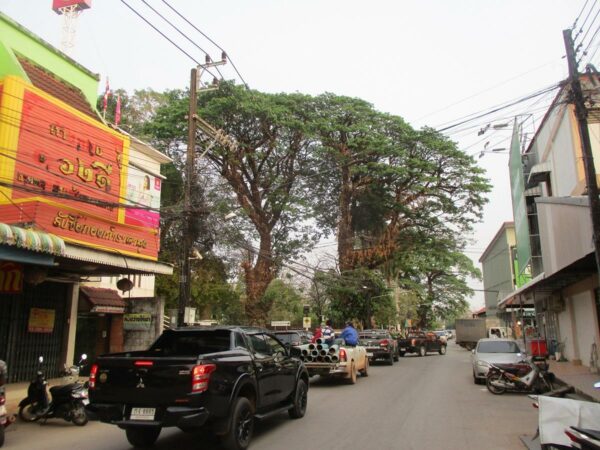 Commercial building, Bueng Kan _photo