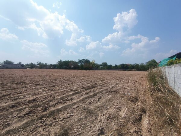 Empty land _photo