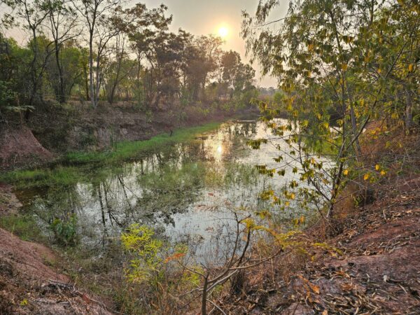 Empty land _photo