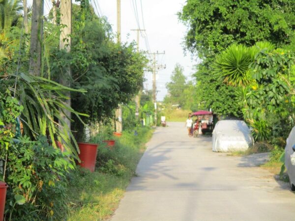 Vacant land, Nakhon Si Thammarat _photo