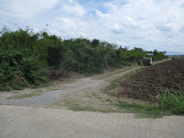 Vacant land, Nakhon Sawan _photo