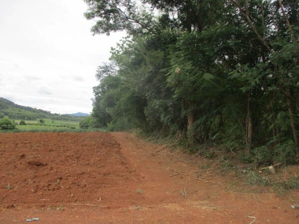 Non -empty land, Phetchabun _photo