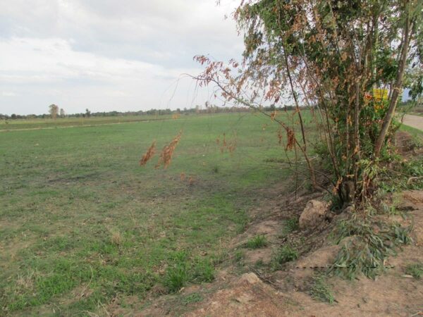 Empty land, Sukhothai _photo