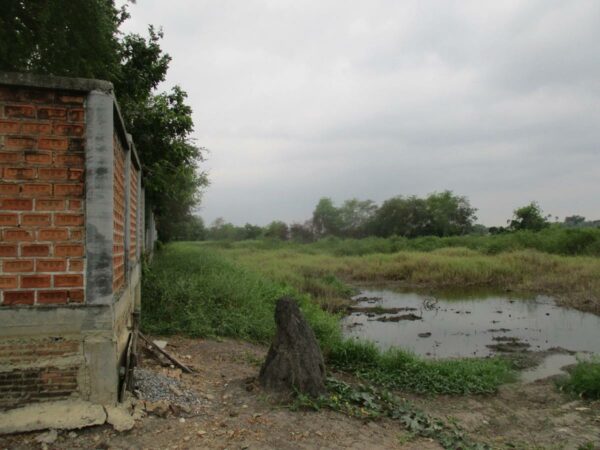 Empty Land, Suphanburi _photo