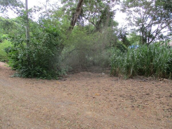 Empty Land, Uthai Thani _photo