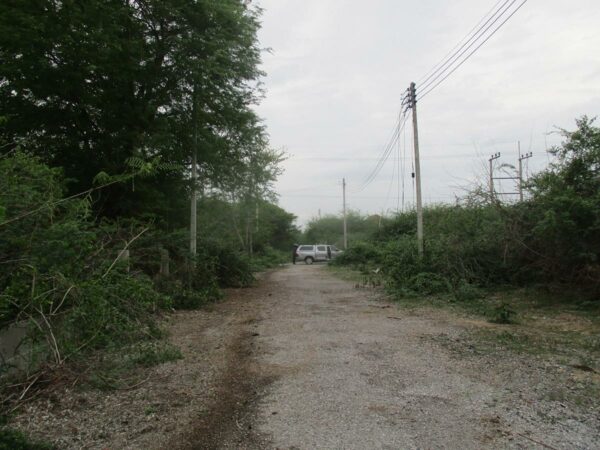 Empty land, Phetchaburi _photo