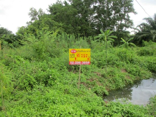 Empty Land, Surat Thani _photo