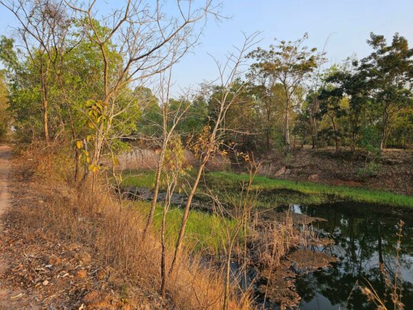 Empty land _photo