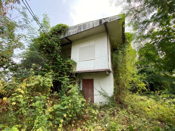 Single house _photo