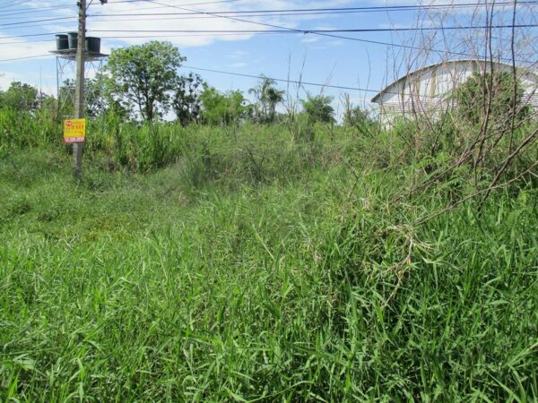 Vacant land, Kamphaeng Phet _photo