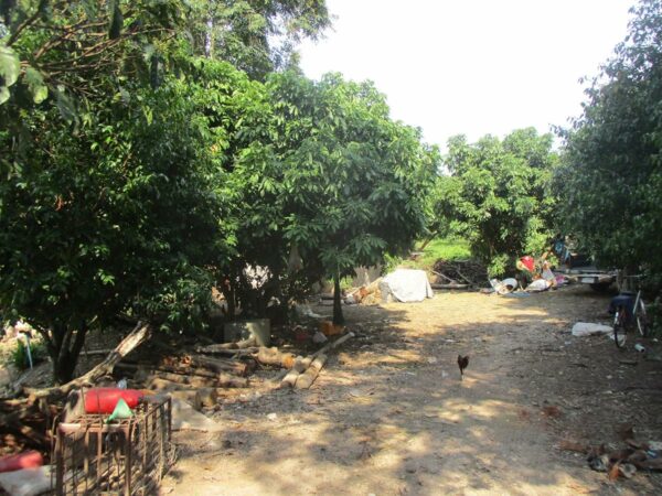 Single house, Chiang Rai _photo