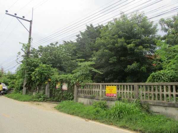 Single house, Chiang Rai _photo