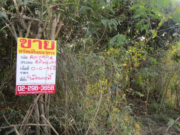 Blank land, Chiang Mai _photo