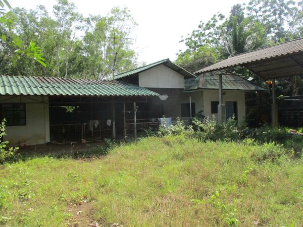 Single house, Nakhon Si Thammarat _photo