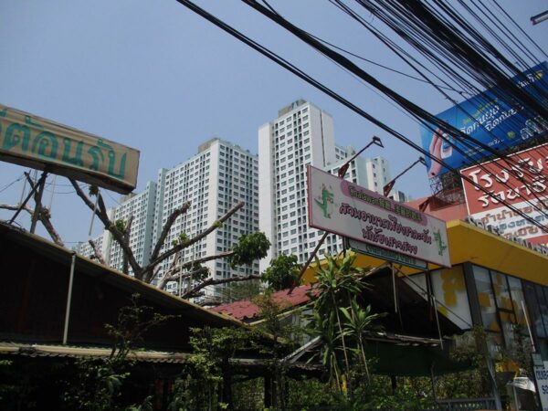 Lumpini Park Rattanathibet-Ngamwongwan _photo