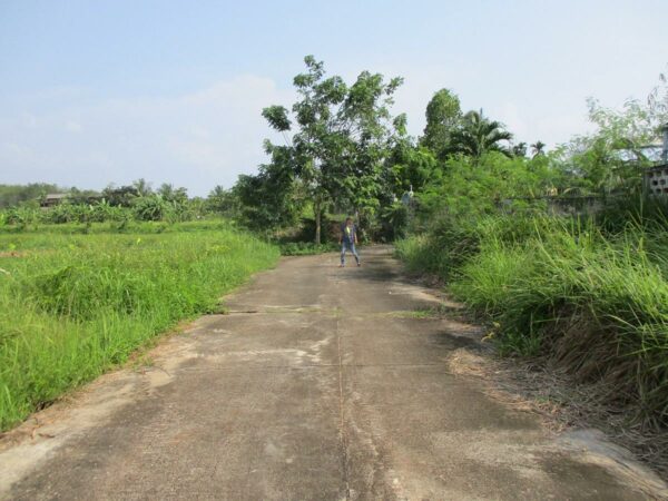 Vacant land, Nakhon Si Thammarat _photo