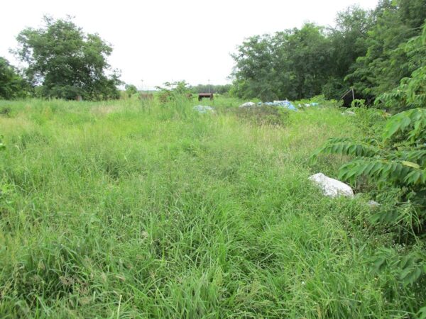 Empty Land, Phra Nakhon Si Ayutthaya _photo