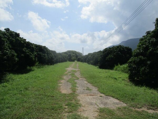 Doi Kan Lamyan Garden Project _photo