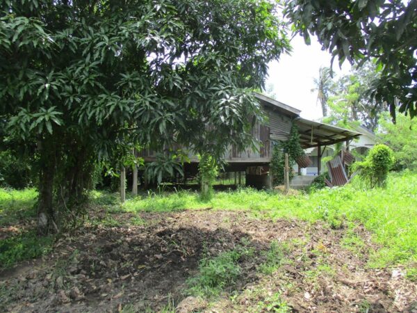 Single house, Sa Kaeo _photo