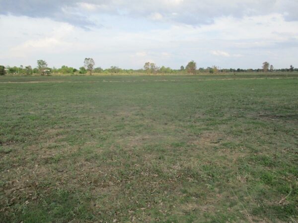 Empty land, Sukhothai _photo