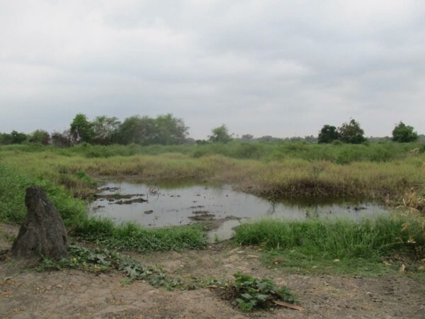 Empty Land, Suphanburi _photo