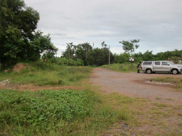 Row house, Surat Thani _photo