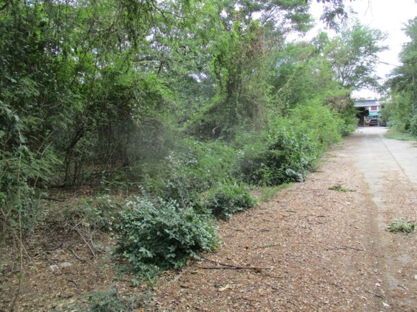 Empty Land, Uthai Thani _photo