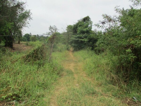 Empty Land, Suphanburi _photo